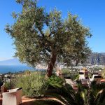 Panoramic View from Msuites Sorrento